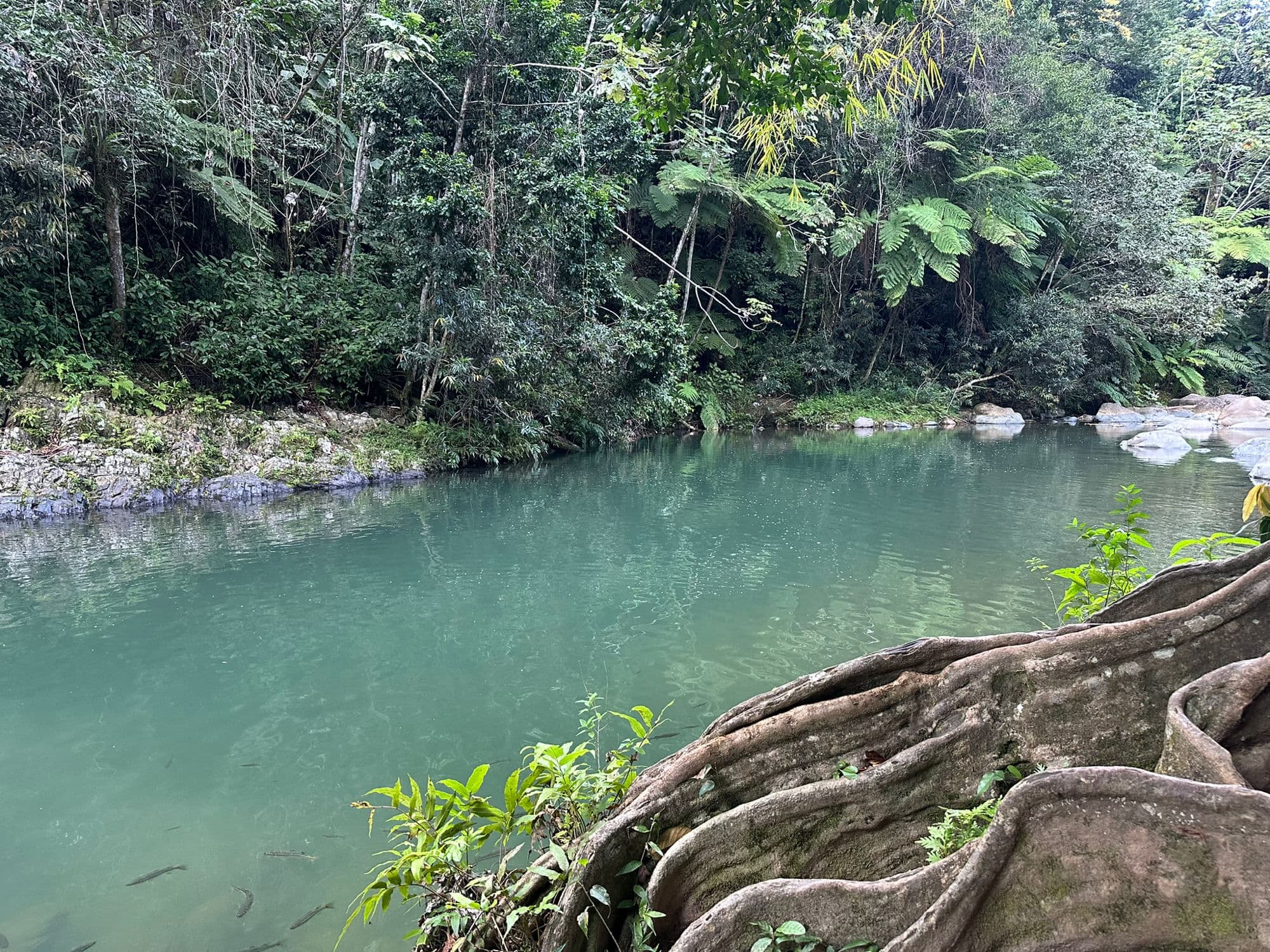 Puerto Rico
