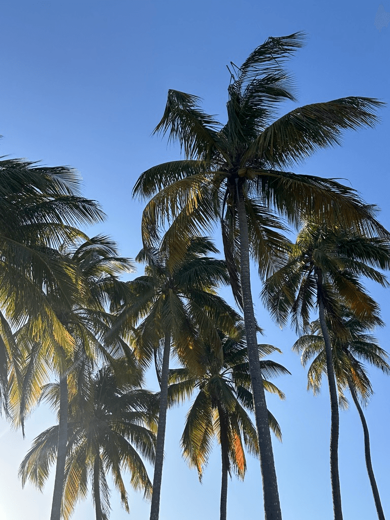 Puerto Rico